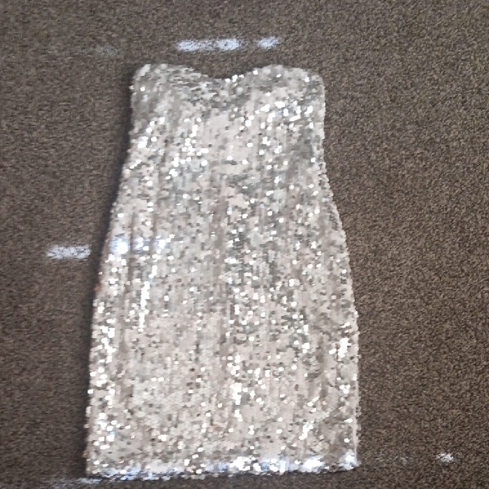 Lily Rose Silver Strapless Dress